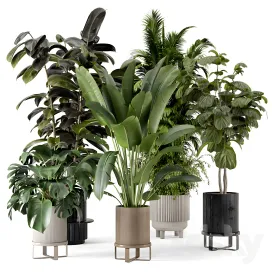 Indoor plants in ferm living bau pot large
